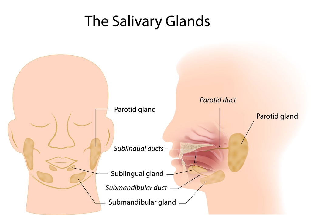 D．汗腺系腫瘍 sweat gland tumors - derm-hokudai.jp