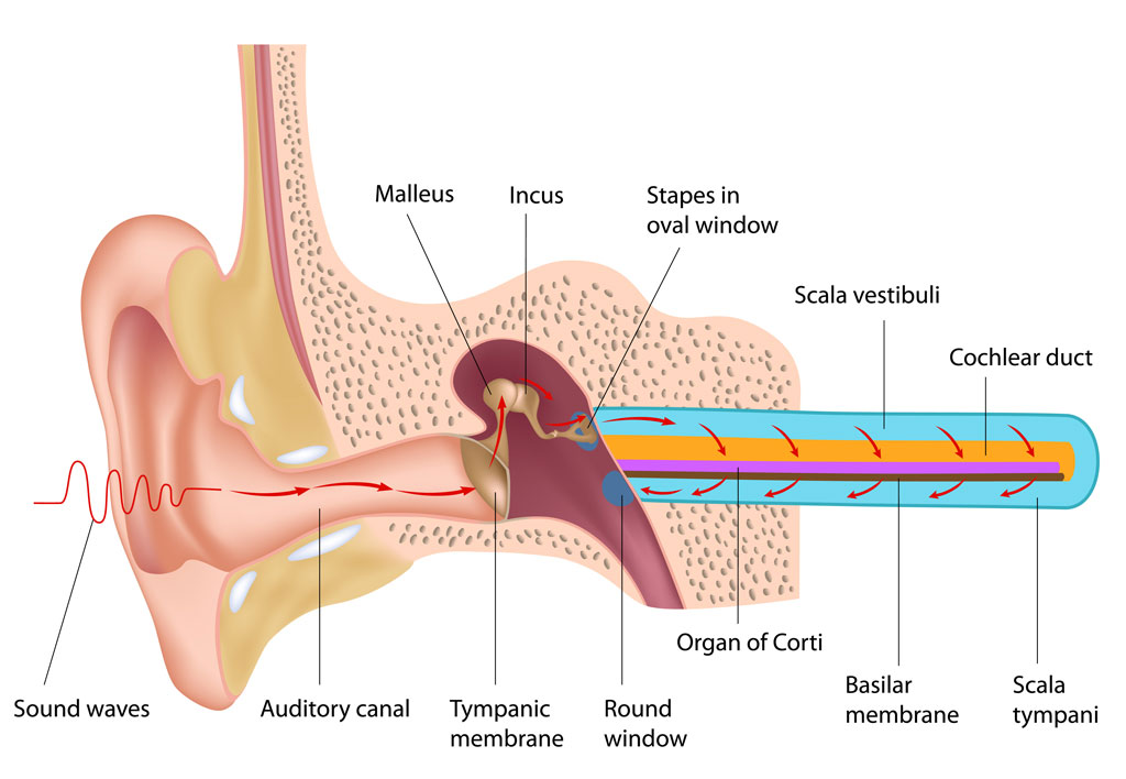 Can an ear infection cause a loss of balance?