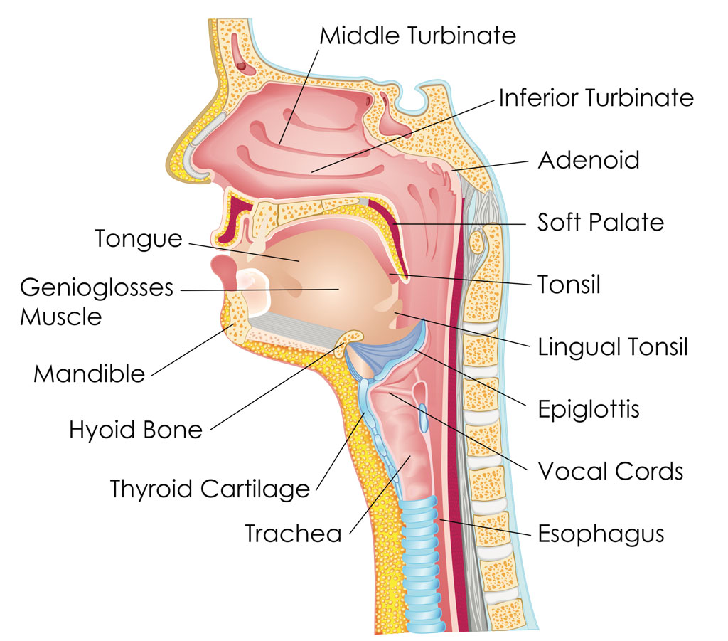 snoring-and-obstructive-sleep-apnea-osa-fort-worth-ent-sinus