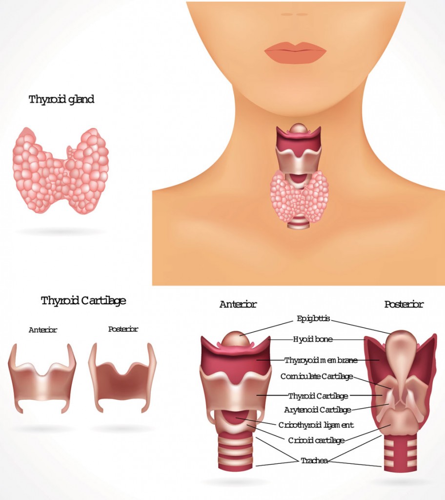 Pain in left side of 2025 neck thyroid